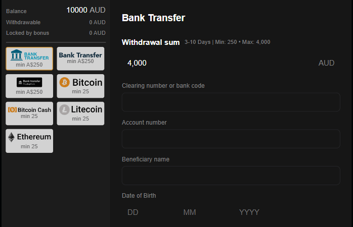 PlayAmo Payment Options